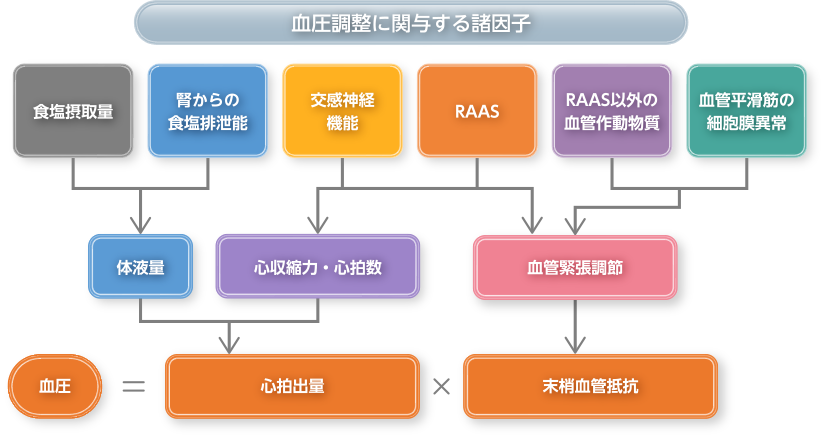 products_entresto_high_blood_pressure_involvement_img_eht_01_01.png products_entresto_high_blood_pressure_involvement_img_eht_01_01.png