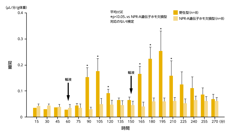products_entresto_high_blood_pressure_involvement_img_eht_01_04.png products_entresto_high_blood_pressure_involvement_img_eht_01_04.png