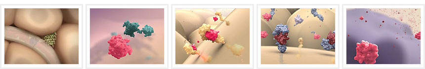 products_ilaris_behavior_img_sample_01.jpg products_ilaris_behavior_img_sample_01.jpg