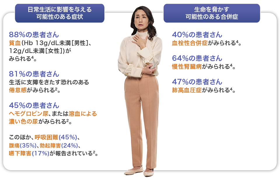 img_pnh_02_240821.png img_pnh_02_240821.png