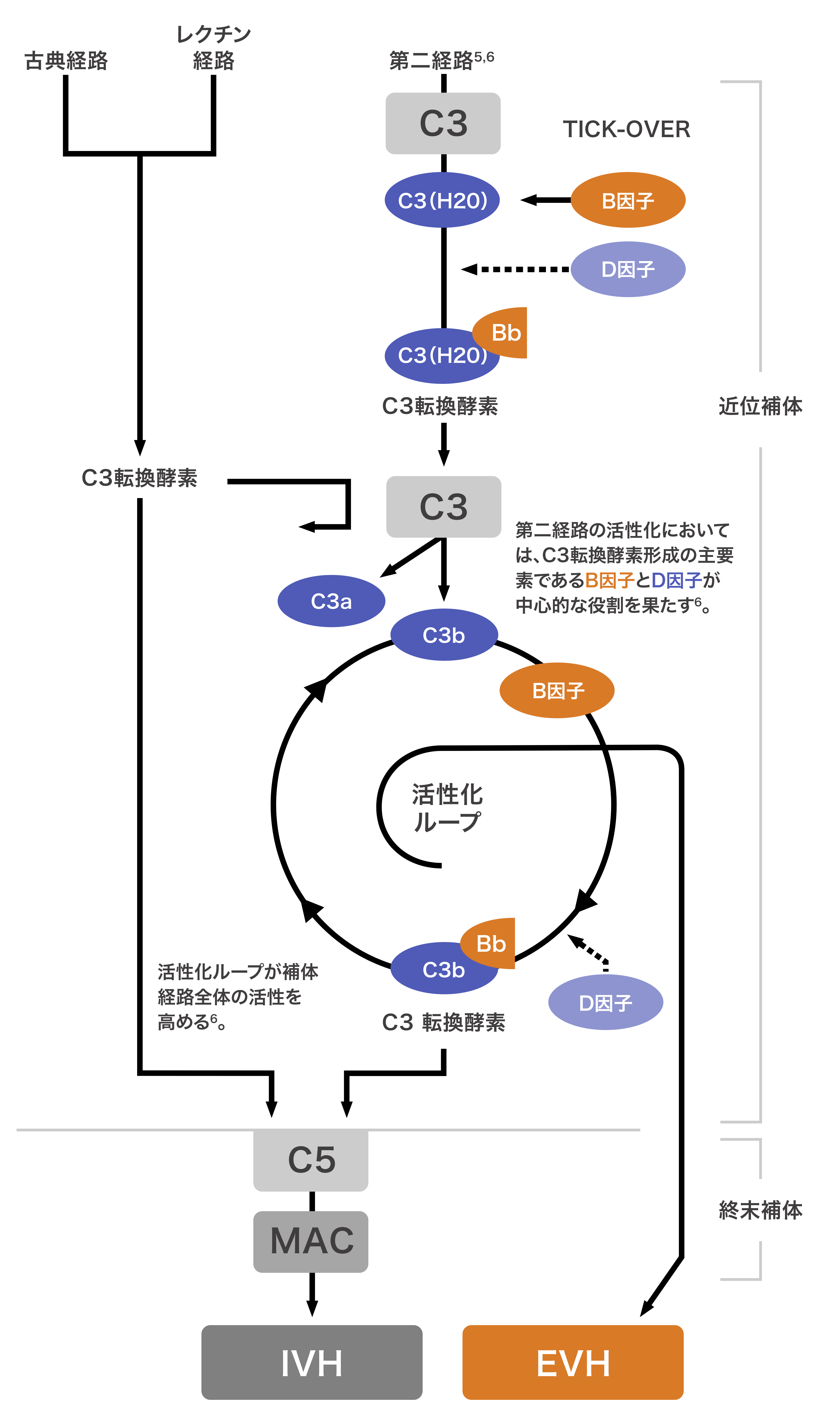 img_pnh_03_240821_rev.png img_pnh_03_240821_rev.png