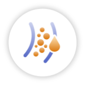 img_pnh_c3g_icon02.png img_pnh_c3g_icon02.png