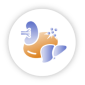 img_pnh_c3g_icon03.png img_pnh_c3g_icon03.png
