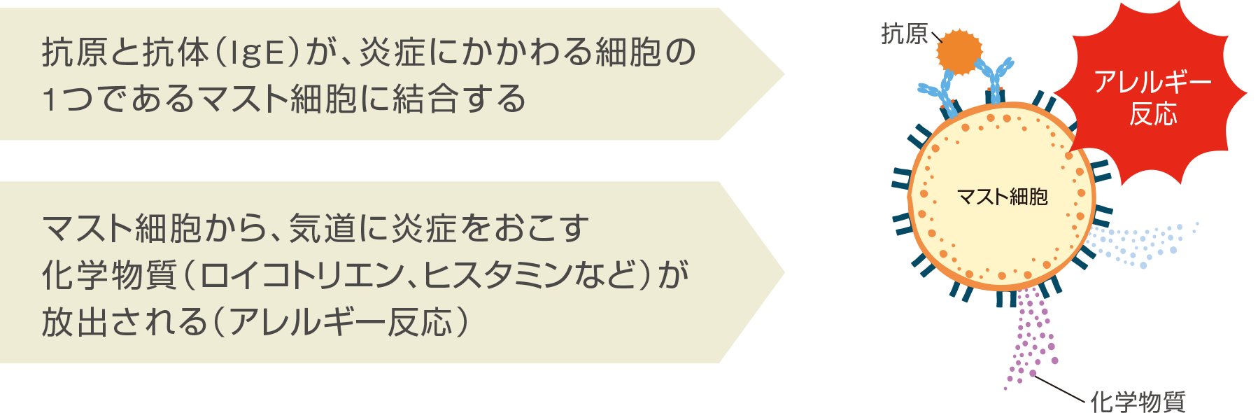 products_xolair_asthma_ic_img_a_ic_004.png products_xolair_asthma_ic_img_a_ic_004.png