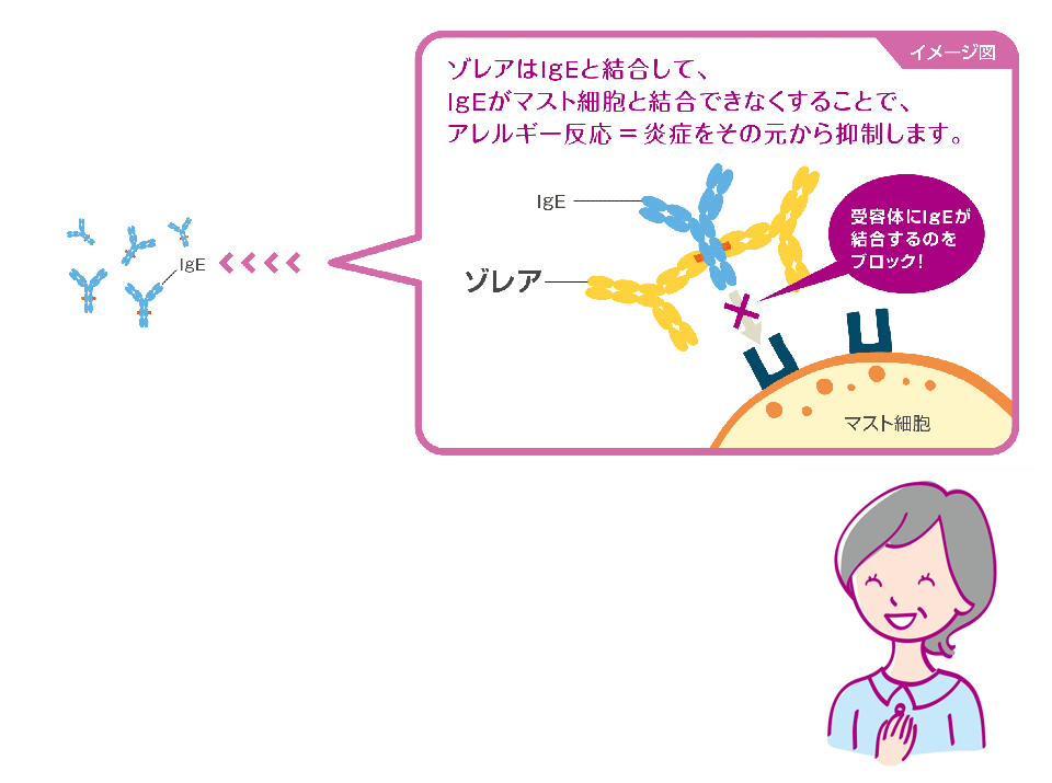products_xolair_asthma_ic_img_a_ic_006_rev.png products_xolair_asthma_ic_img_a_ic_006_rev.png